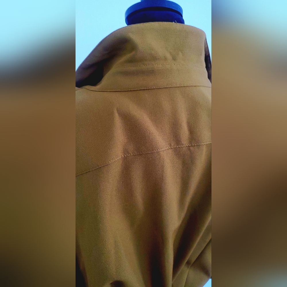 Sharagano Olive Long Sleeve Dress - Picture 10 of 13